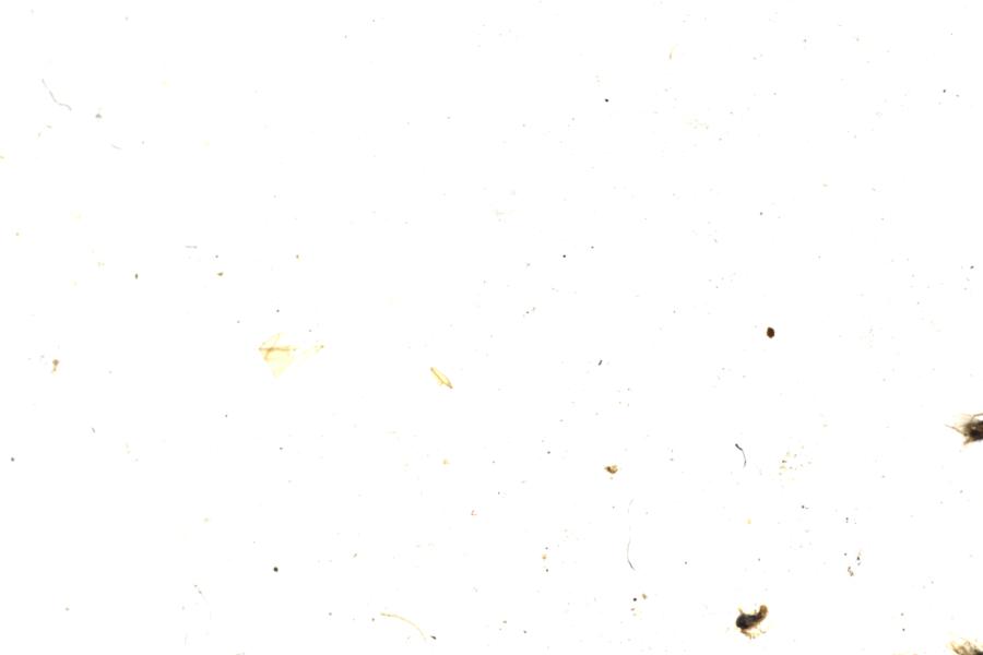 Image 66